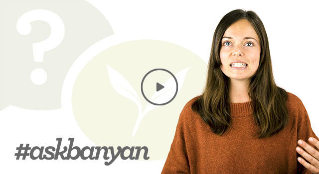 What Is an Ayurvedic Diet? [video]