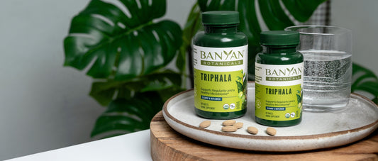 The Top 10 Benefits of Triphala