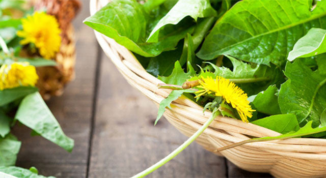 Kapha-Pacifying Recipe: Dandelion Greens with Lemon and Mint