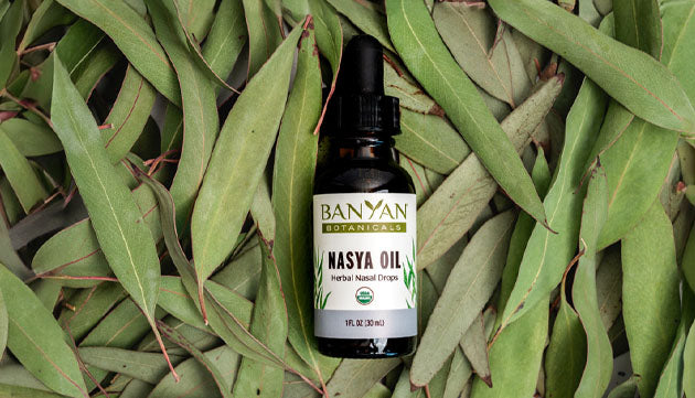 Why Nasya Oil is a Must in Your Daily Routine!