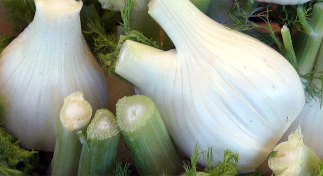 Roasted Fennel Recipe with Cucumber Mint Sauce