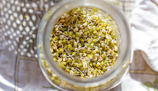 All You Need to Know About Sprouting + 3 Awesome Recipes