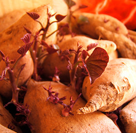 Sweet Potato Halva Recipe
