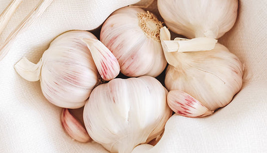 Ginger and Garlic: Winter Miracle Foods