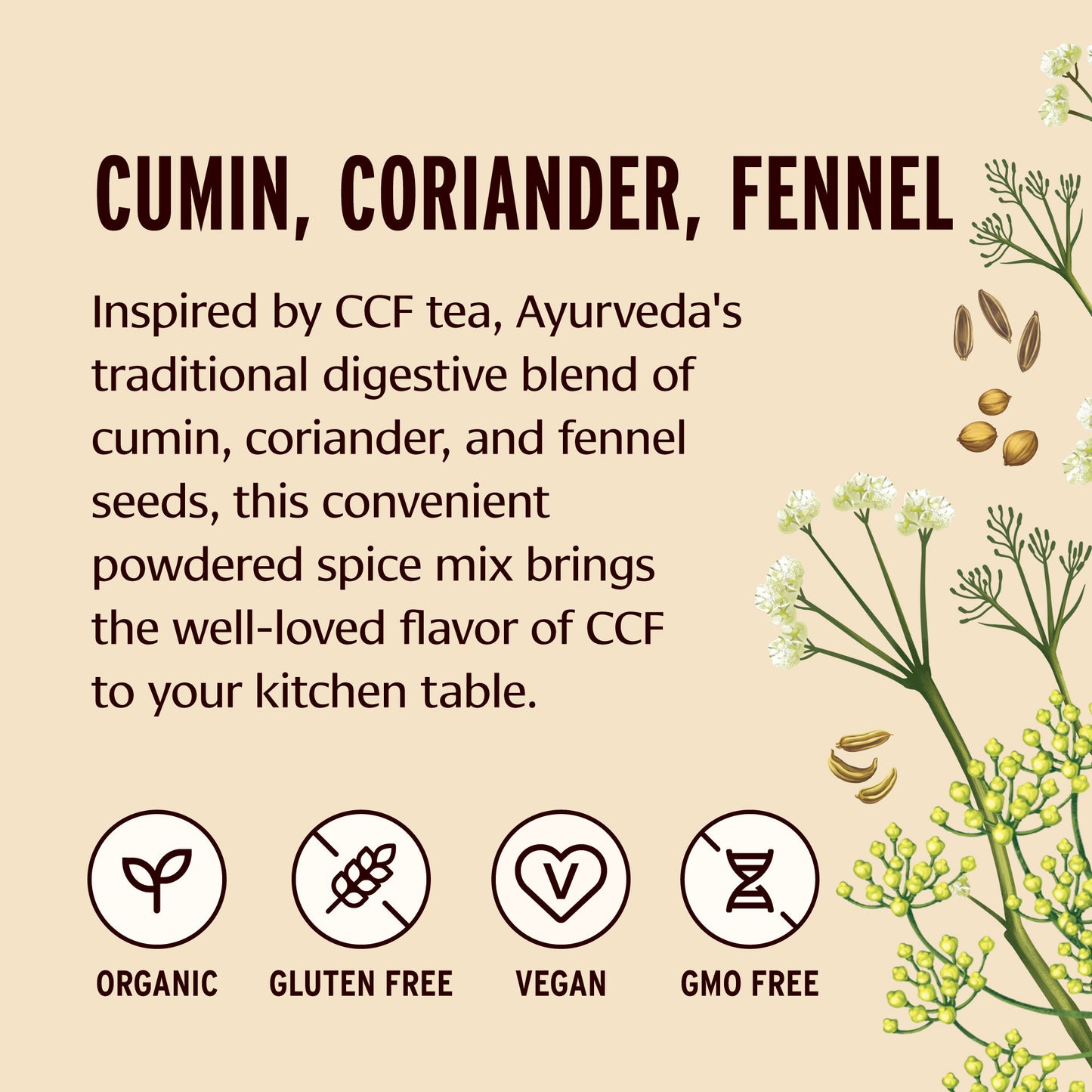 Cumin Coriander and Fennel CCF Spice Mix Informative 