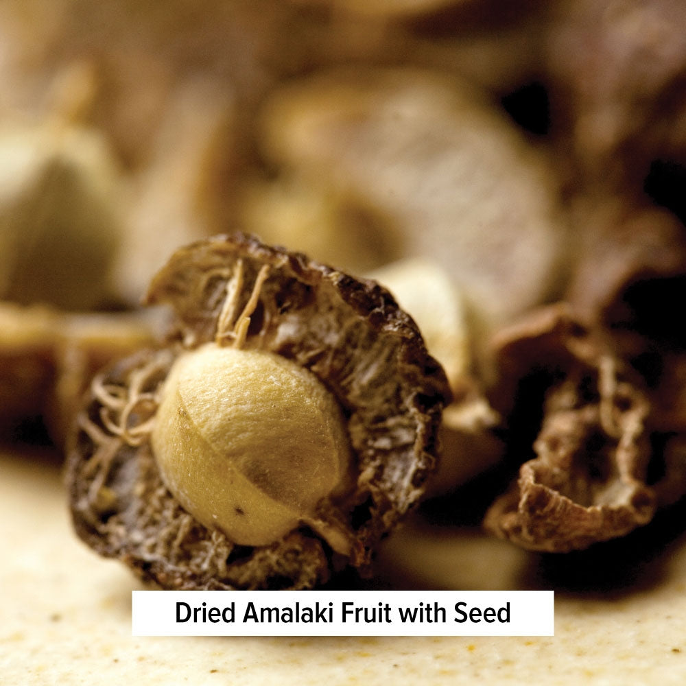 Dried Amalaki Fruit with Seed