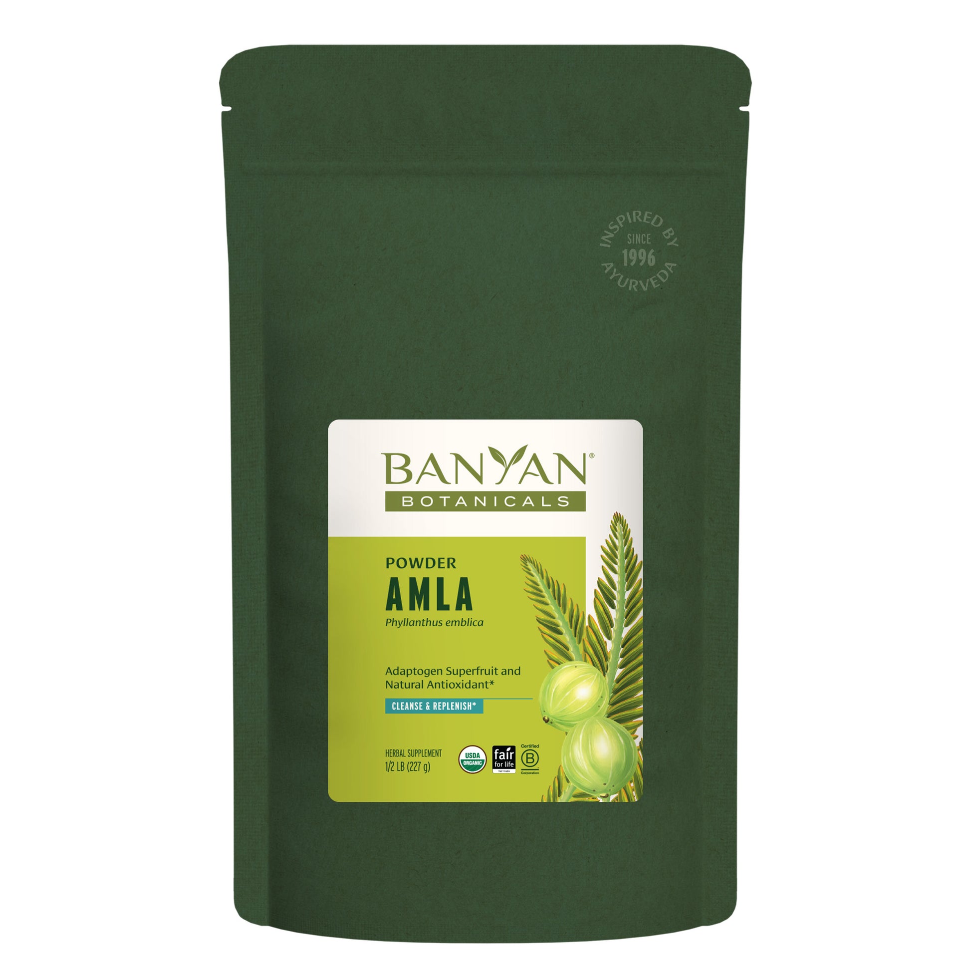 Amla Powder