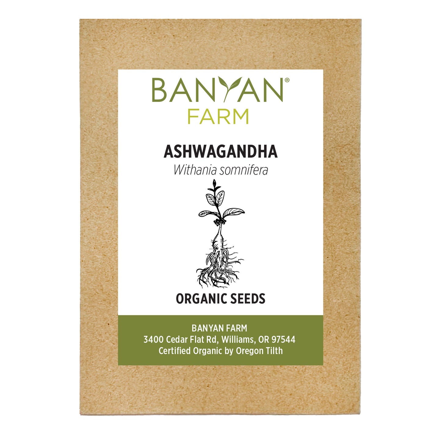 Organic Ashwagandha Seeds