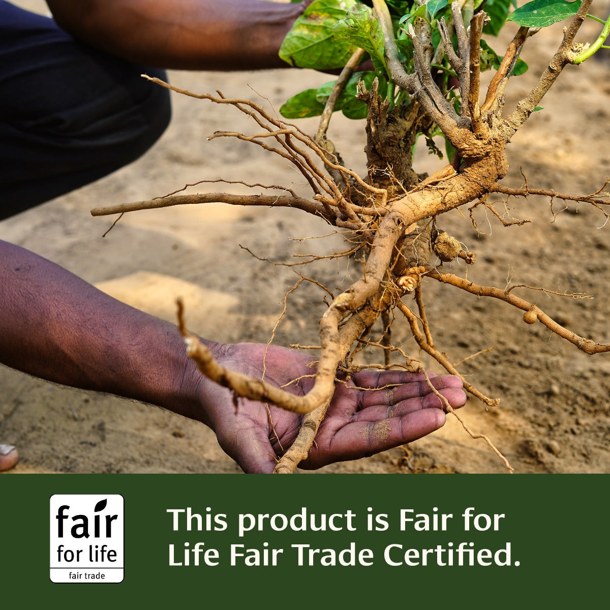 Ashwagandha tablets Faiir for Life Fair Trade Certified