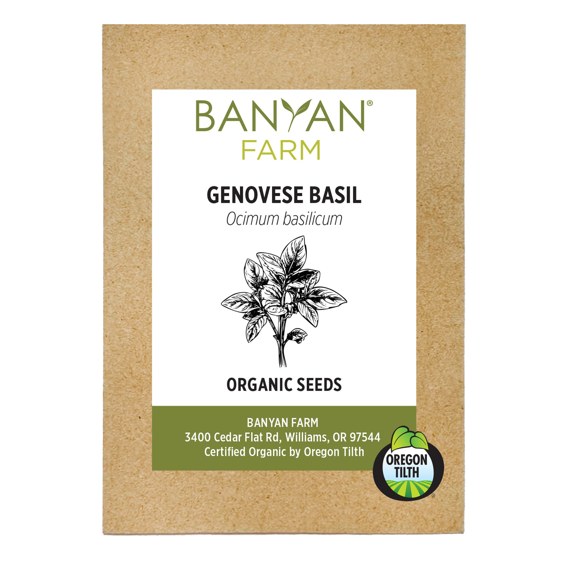 Genovese Basil Organic Seeds 