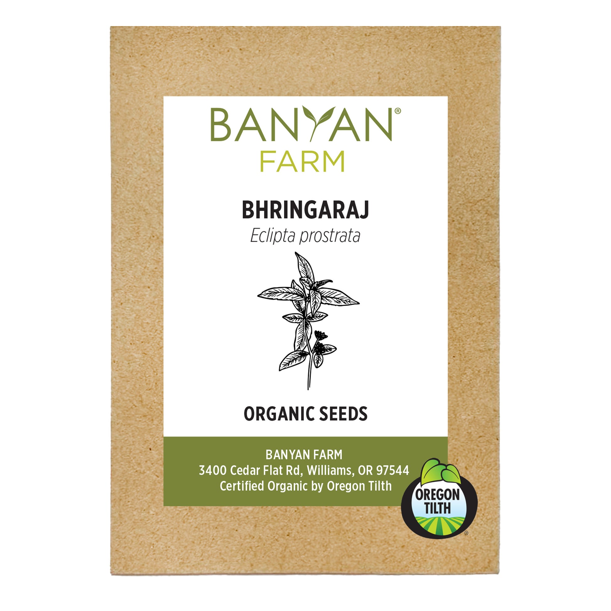 Bhringaraj Organic Seeds