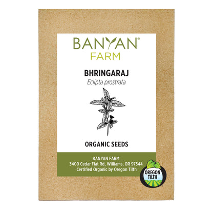 Bhringaraj Organic Seeds