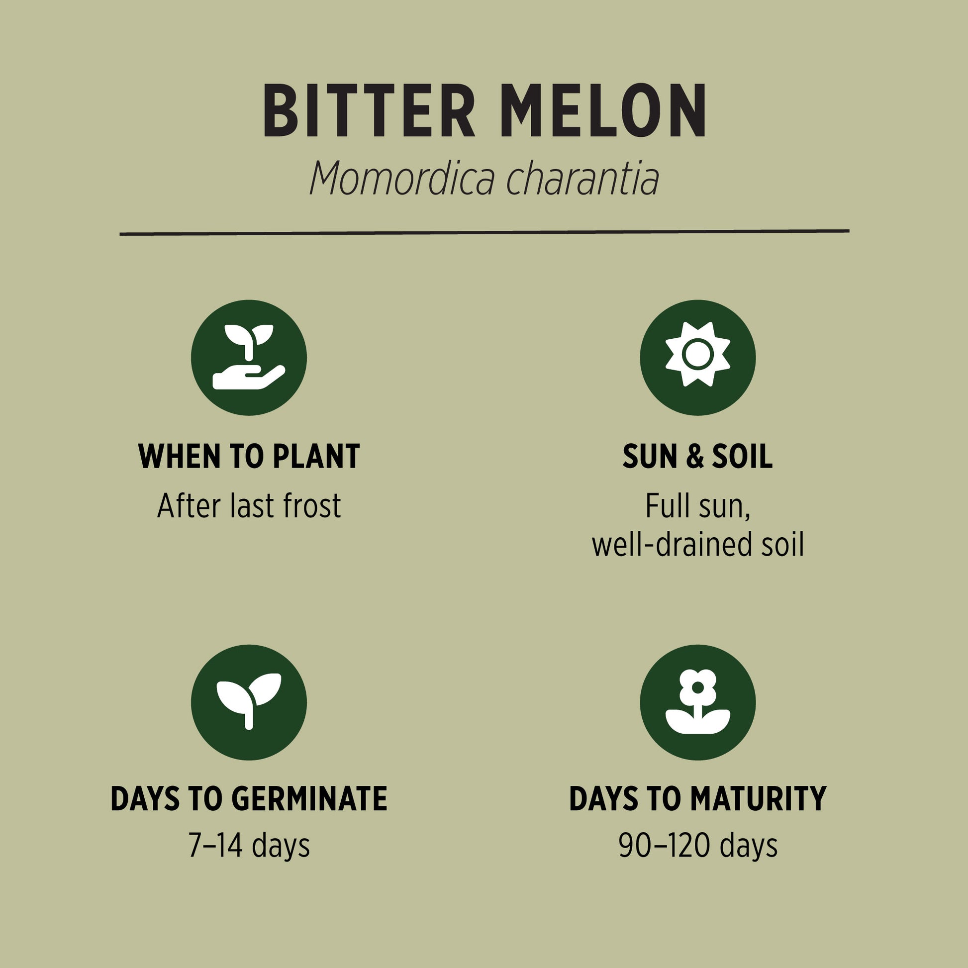 Bitter Melon Organic Seeds Quick Facts