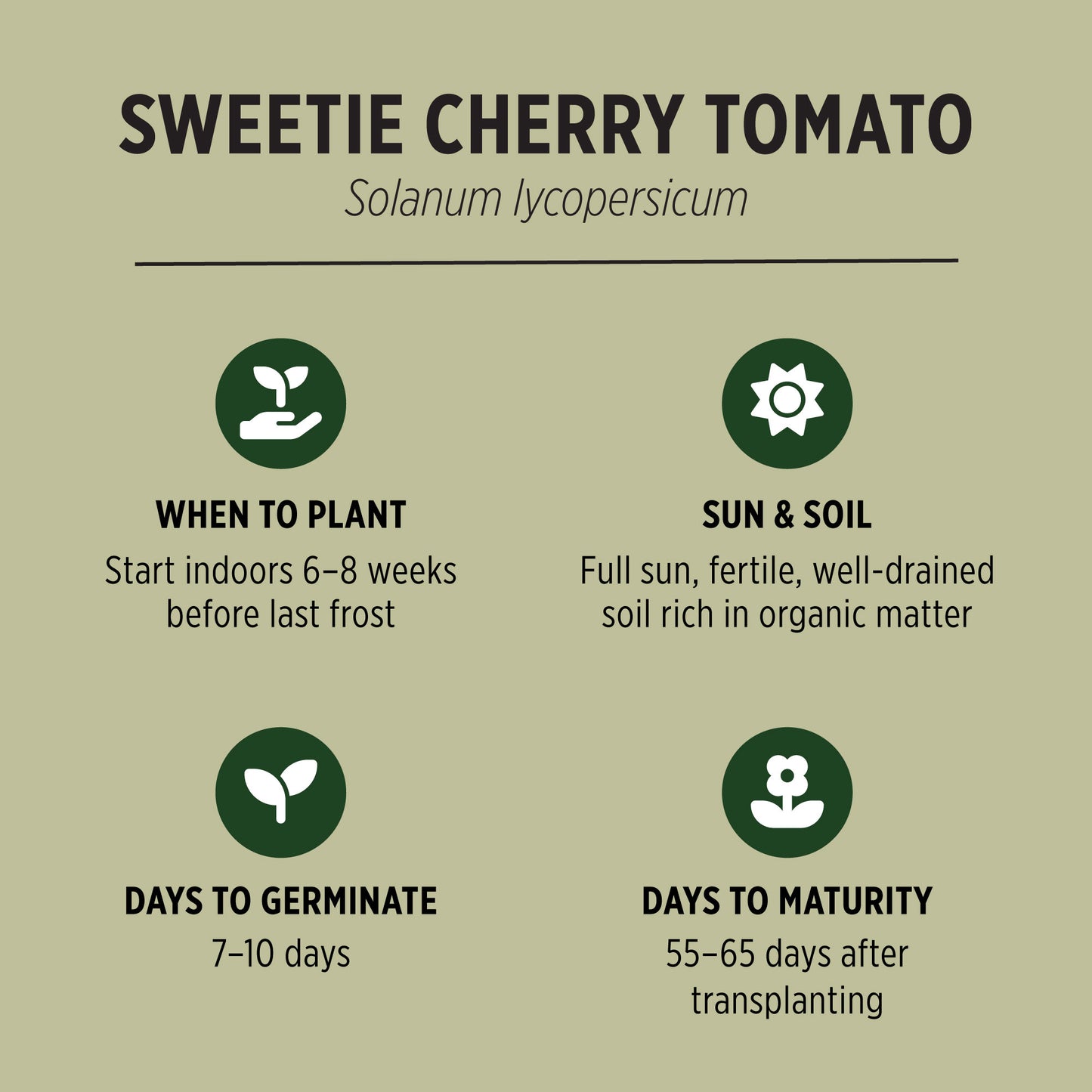 Sweetie Cherry Tomato Seeds Growing Facts