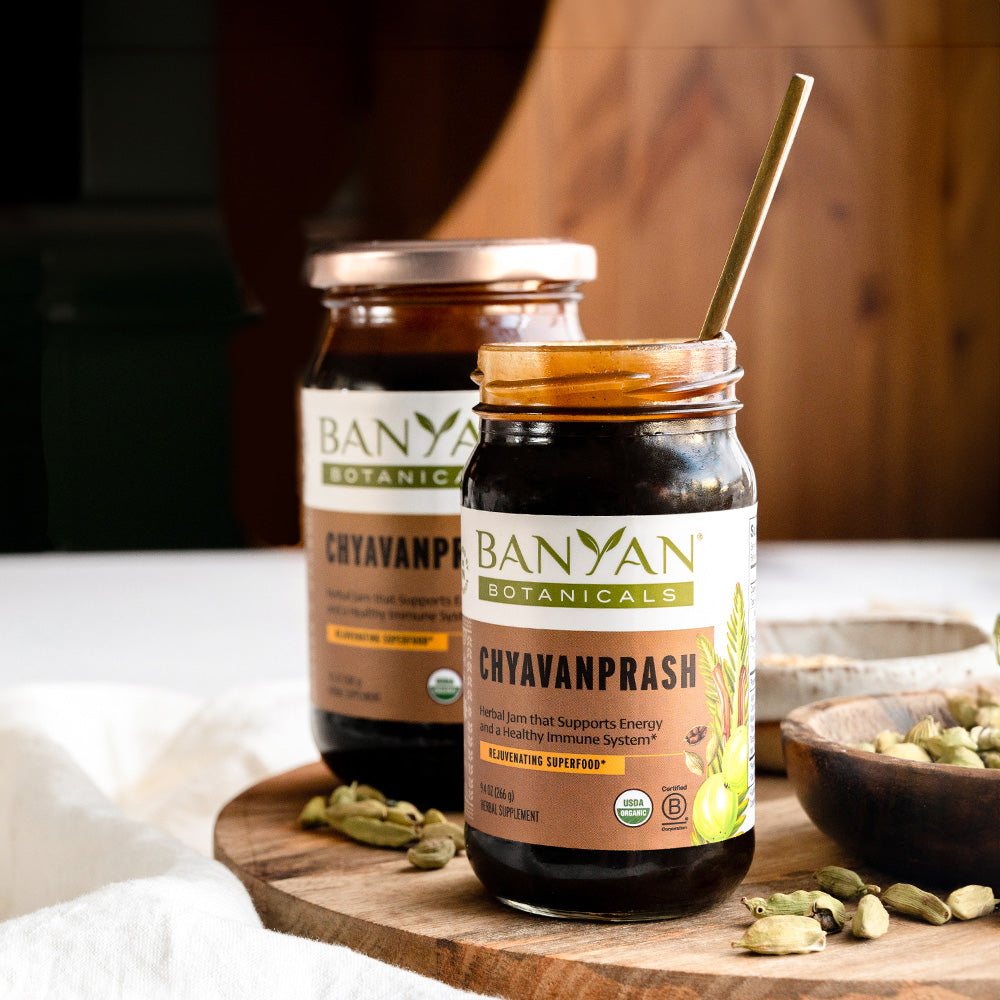 Chyavanprash Ayurvedic Herbal Jam both sizes in kitchen