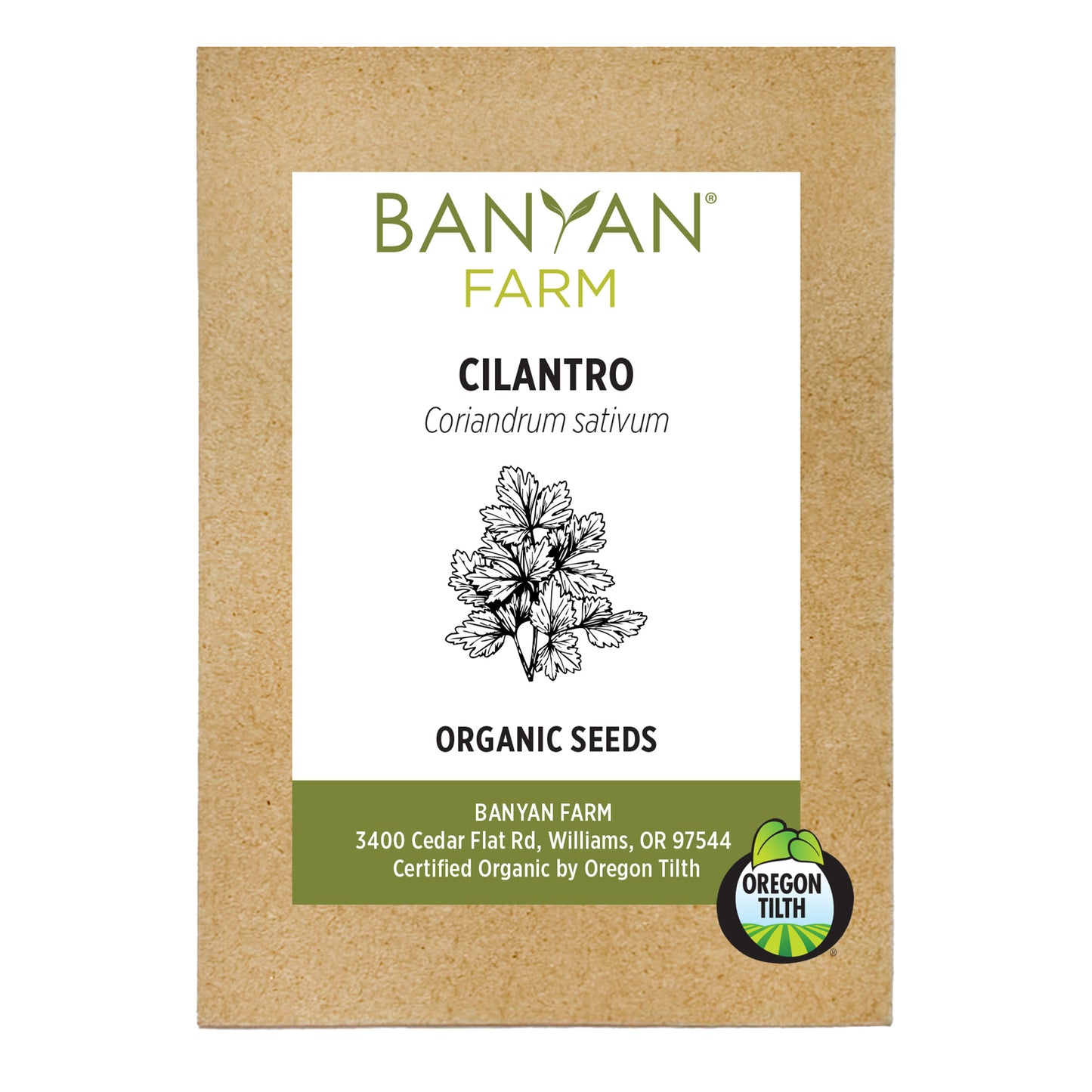 Organic Cilantro Seeds