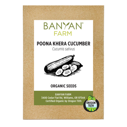 Poona Khera Cucumber Organic Seeds