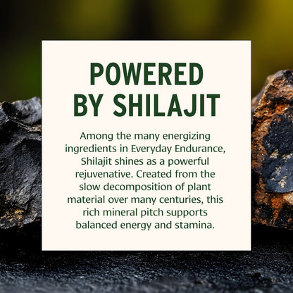 Everyday Endurance Shilajit Benefits