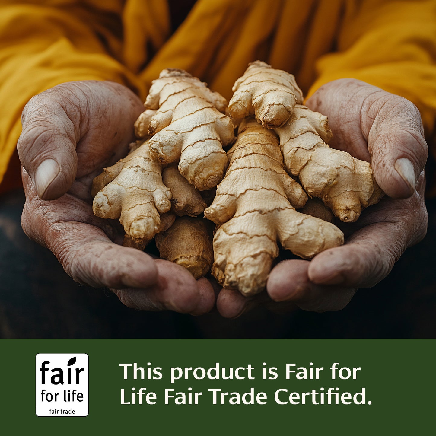 Ginger Powder Fair for Life Fair Trade