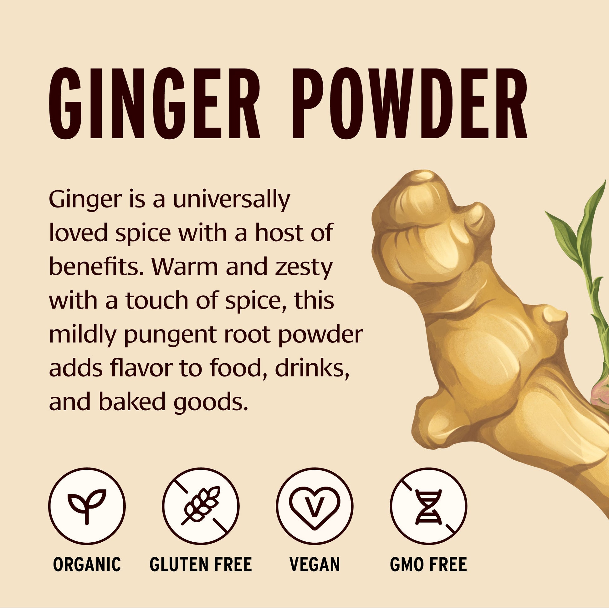 Ginger Powder Information