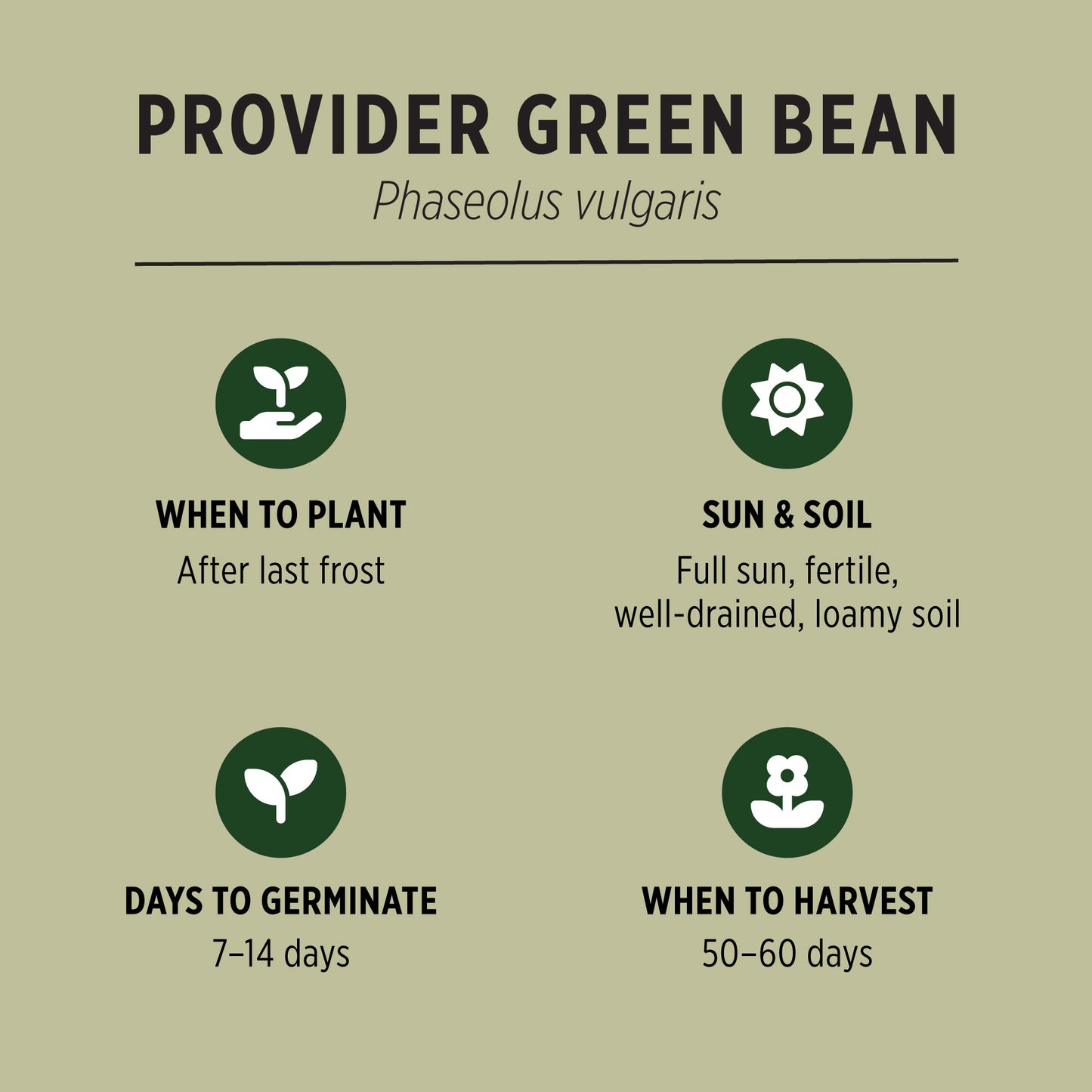 Provider Green Beans Organic Seeds Quick Facts