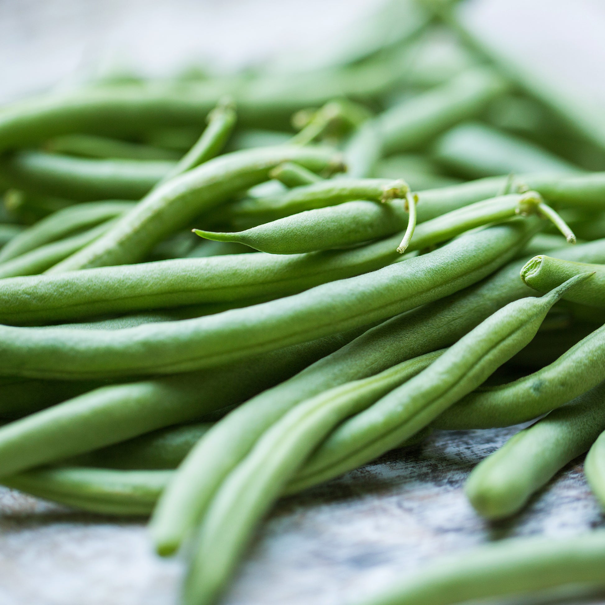 Provider Green Beans Close Up