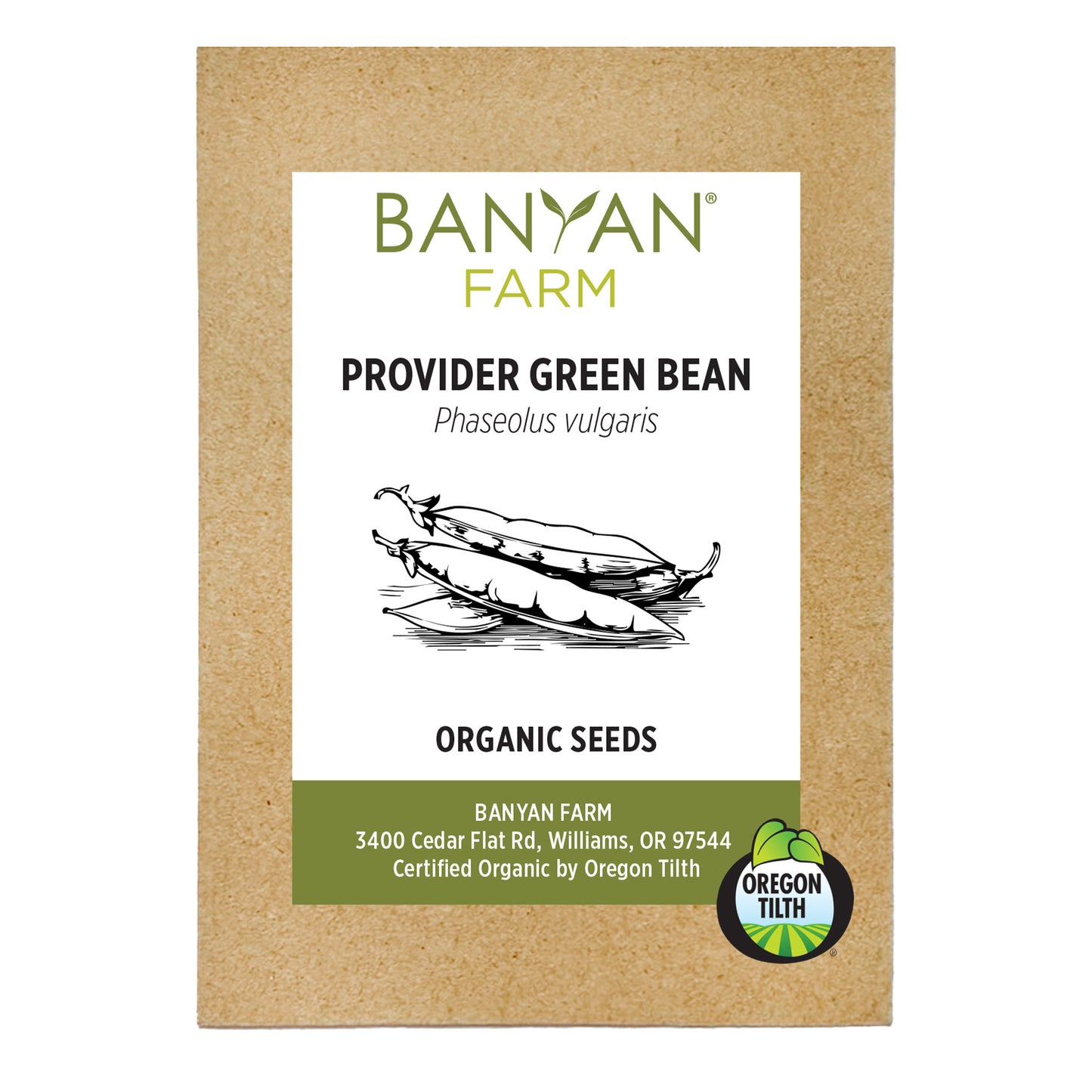 Provider Green Beans Organic Seeds