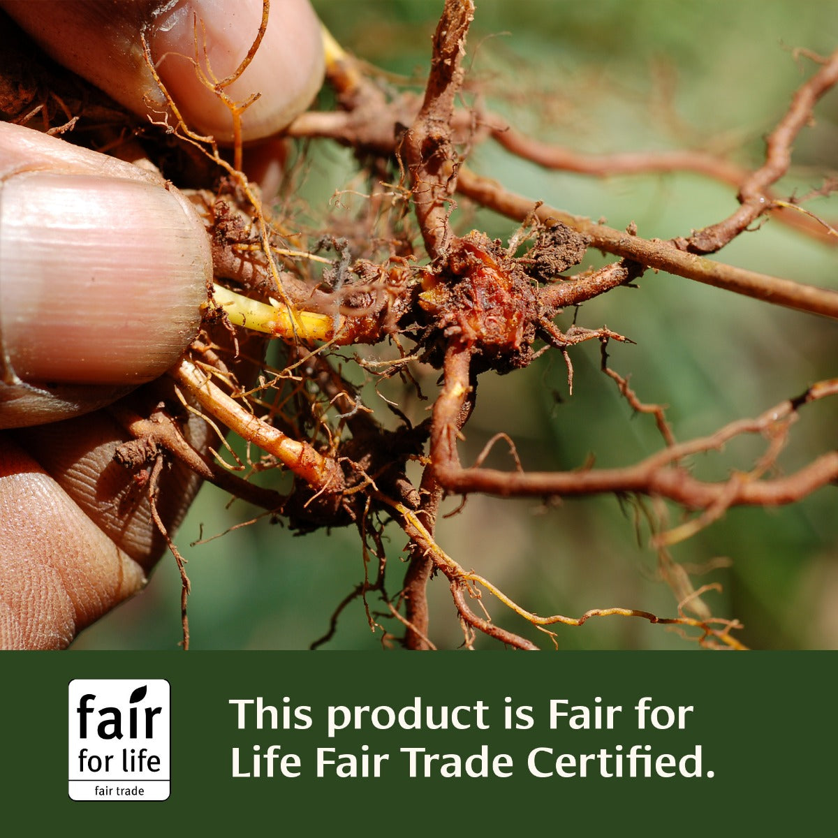 Healthy Skin™ tablets Fair for Life Fair Trade Certified