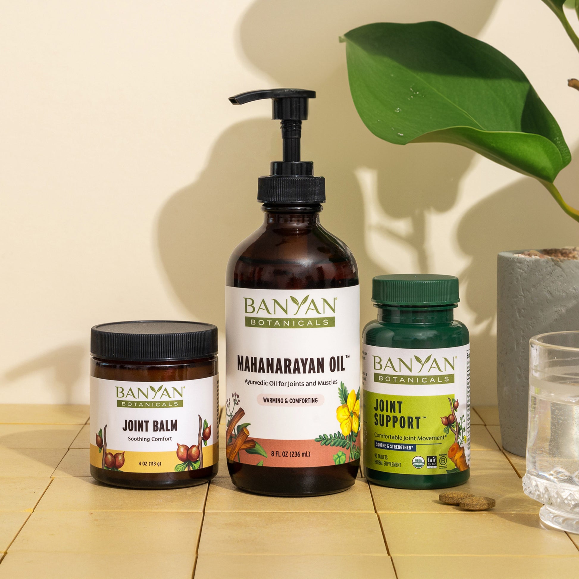 joint balm, mahanarayan oil and joint support tablets next to plant and glass of water