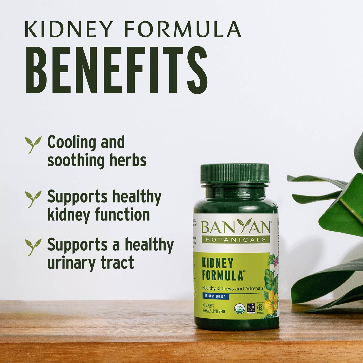 Kidney Formula Benefits