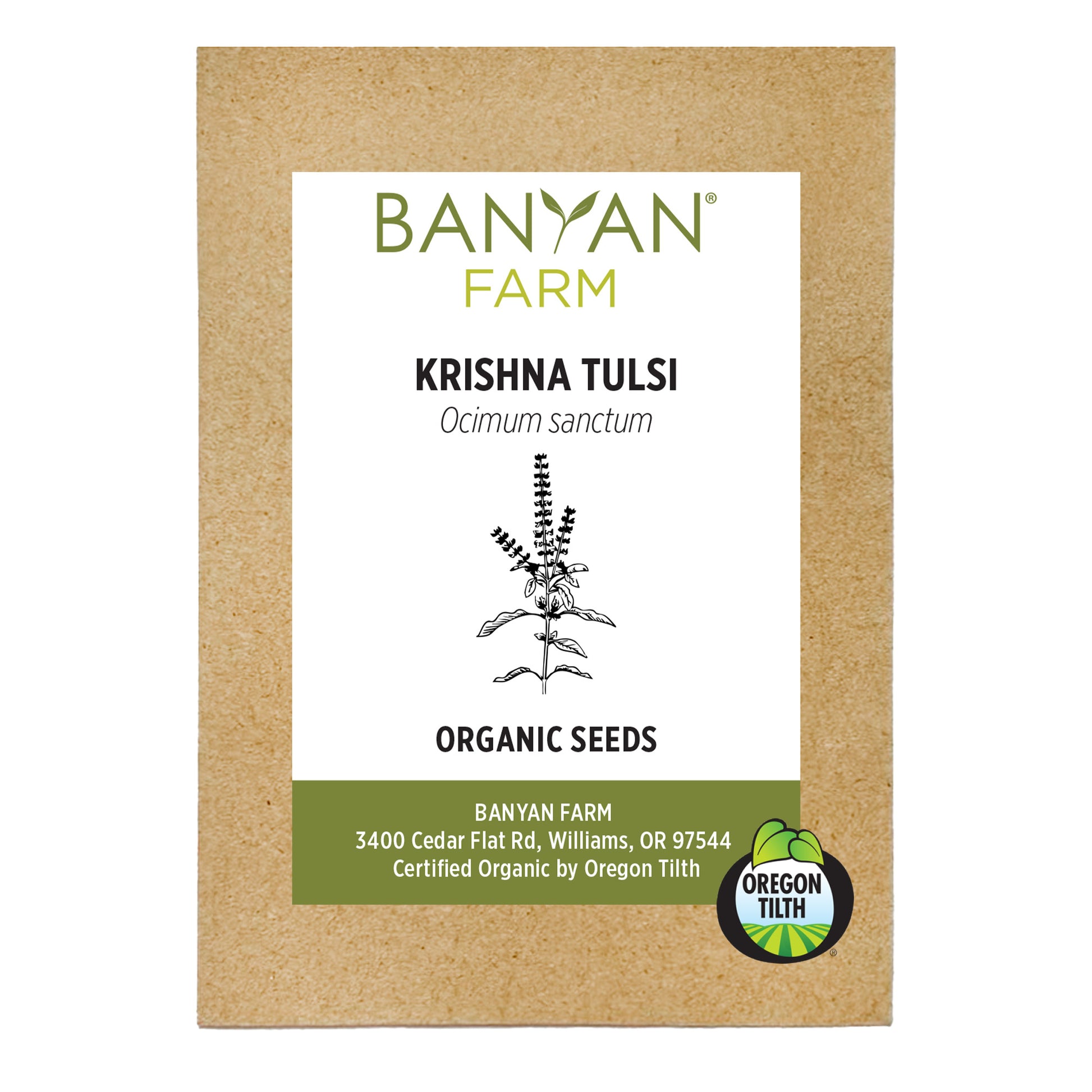 Krishna Tulsi Organic Seeds