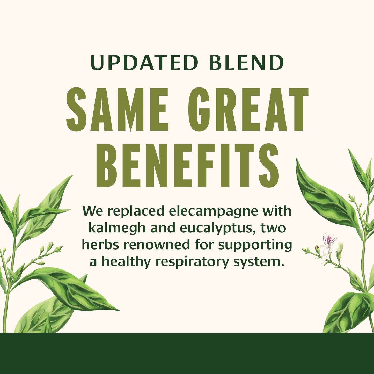 Updated Blend, Same Great Benefits