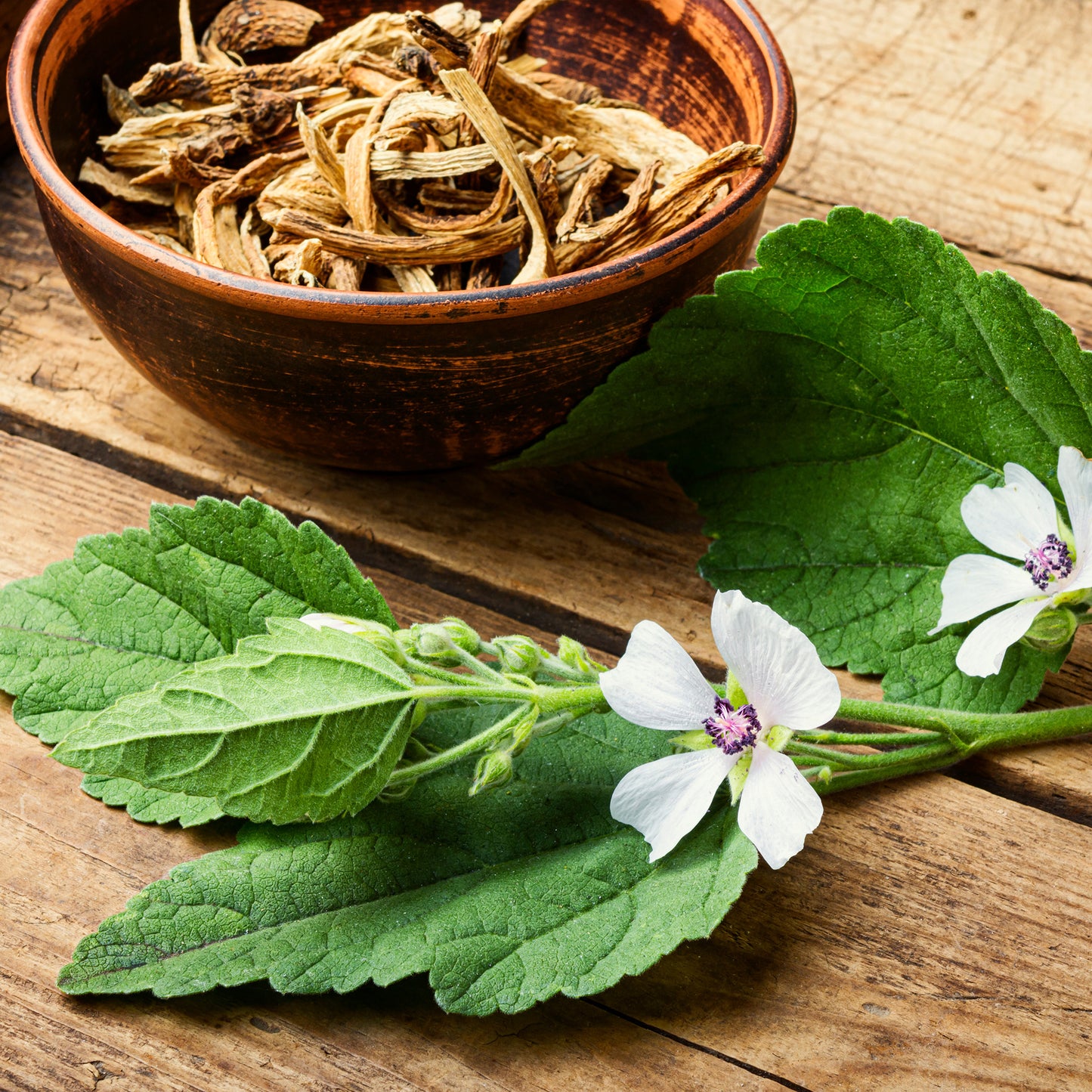 Mashmallow Dried in bowl