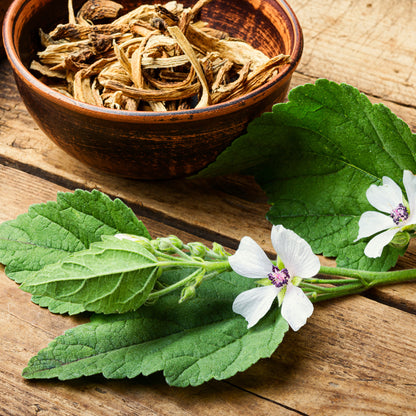 Mashmallow Dried in bowl