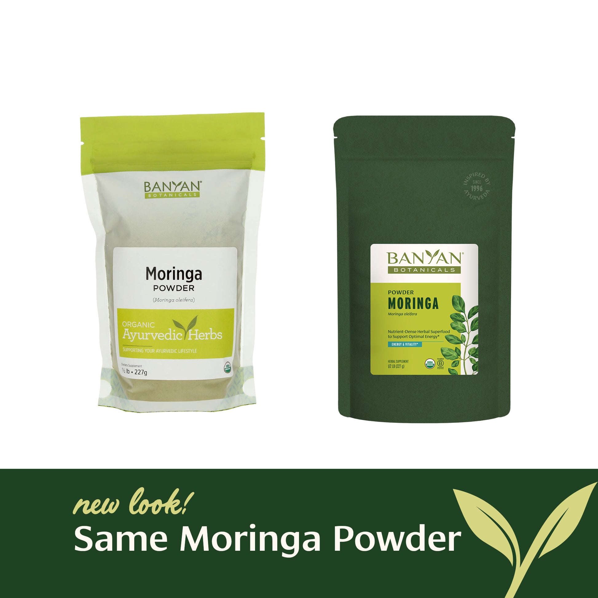 Moringa Powder Rebrand