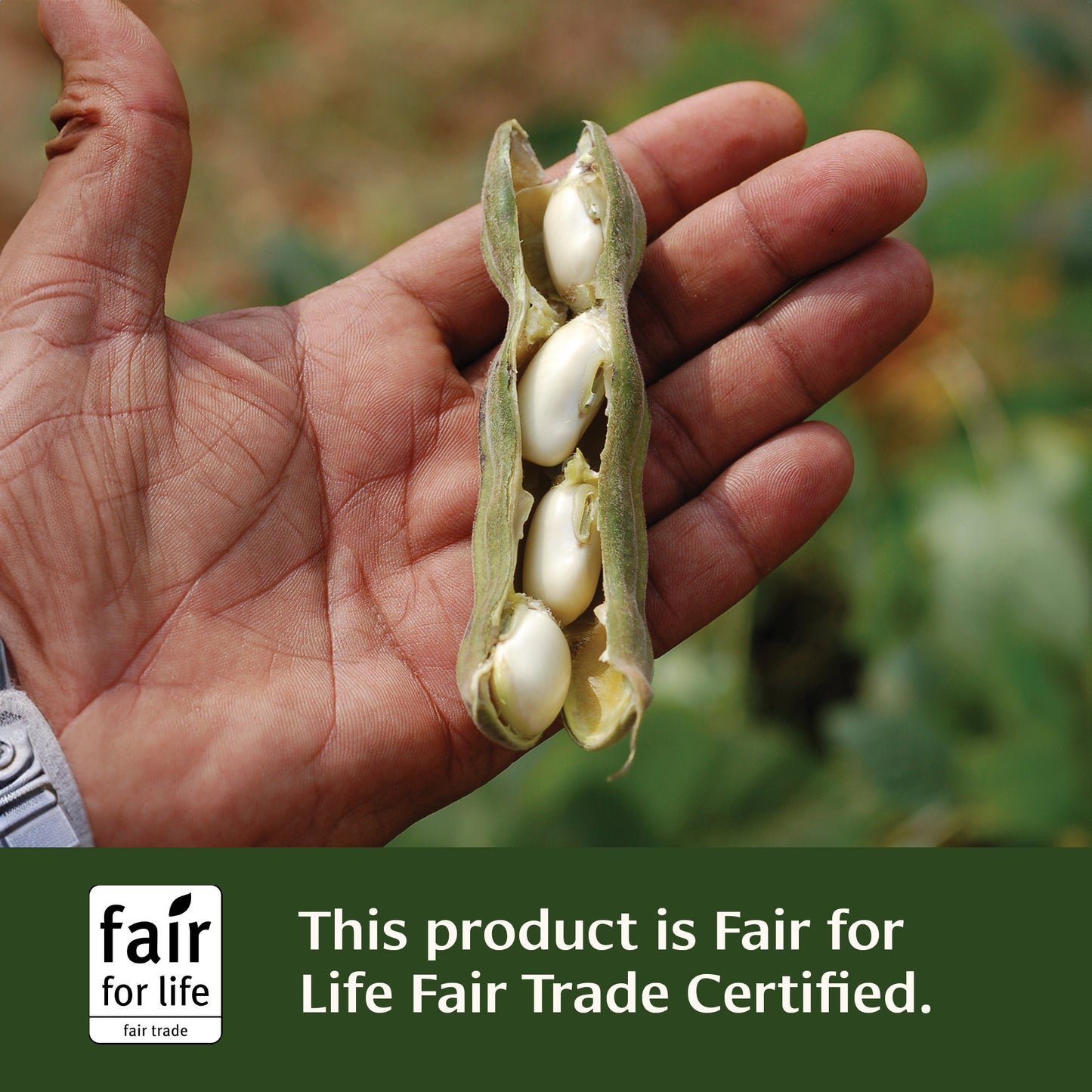 Mucuna Fair for Life Fair Trade Certified