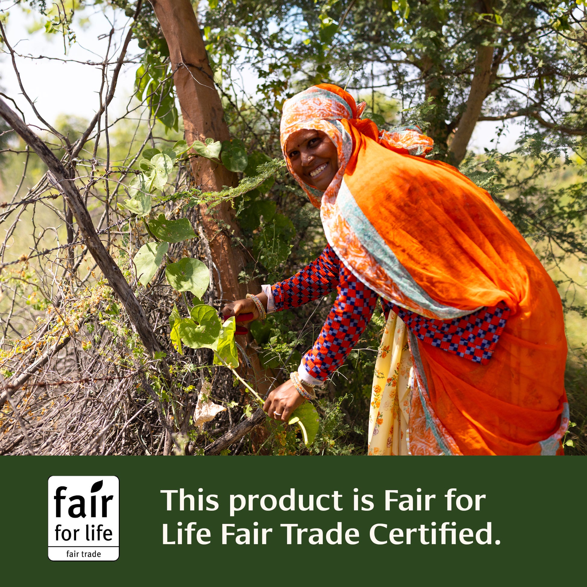 Pitta Digest™ tablets Fair for Life Fair Trade Certified