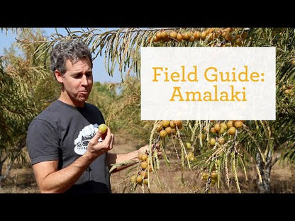 Amalaki Field Guide
