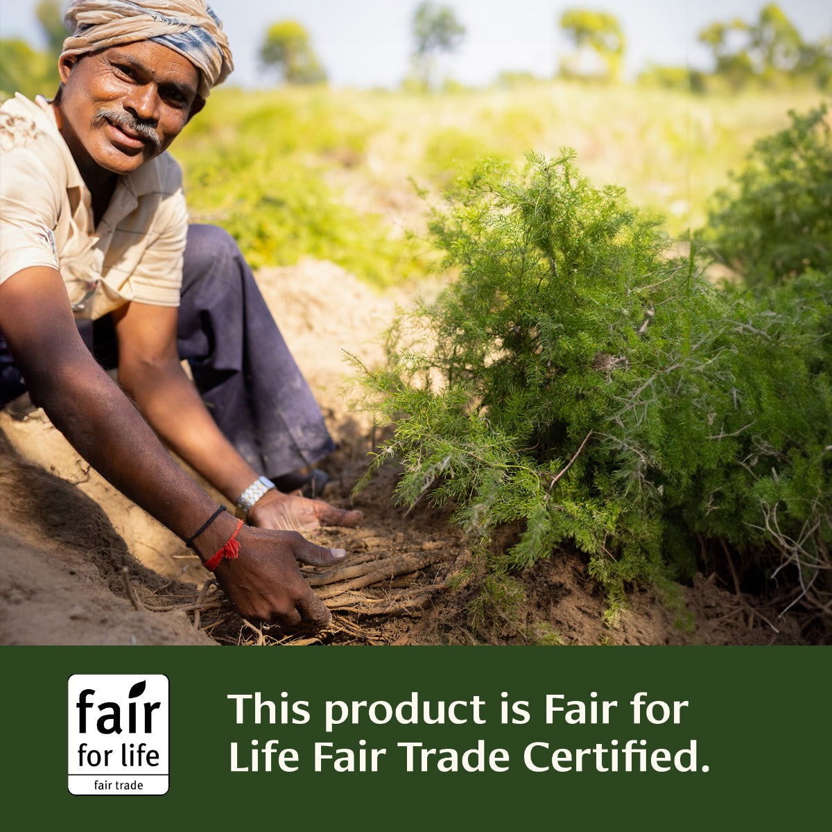 Stress Ease Tablets Fair for Life Fair Trade