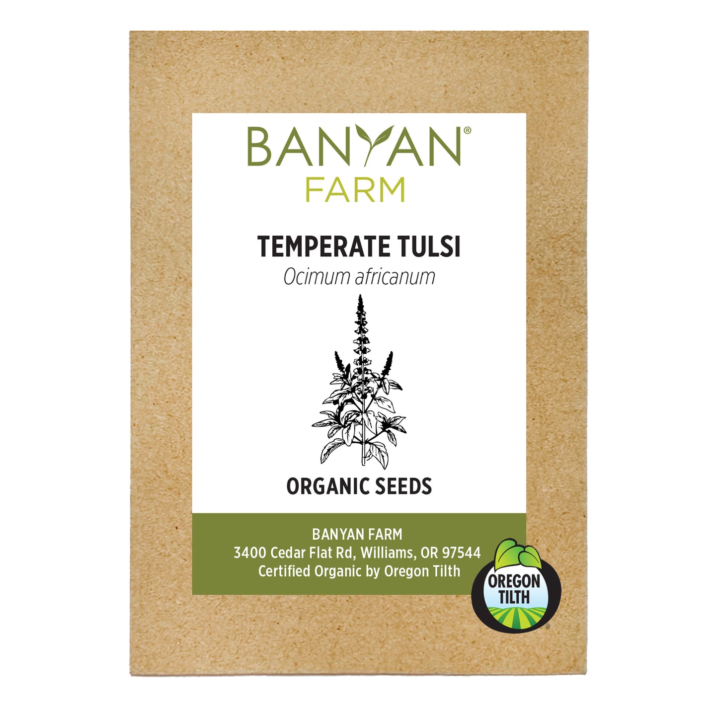 Temperate Tulsi Organic Seeds