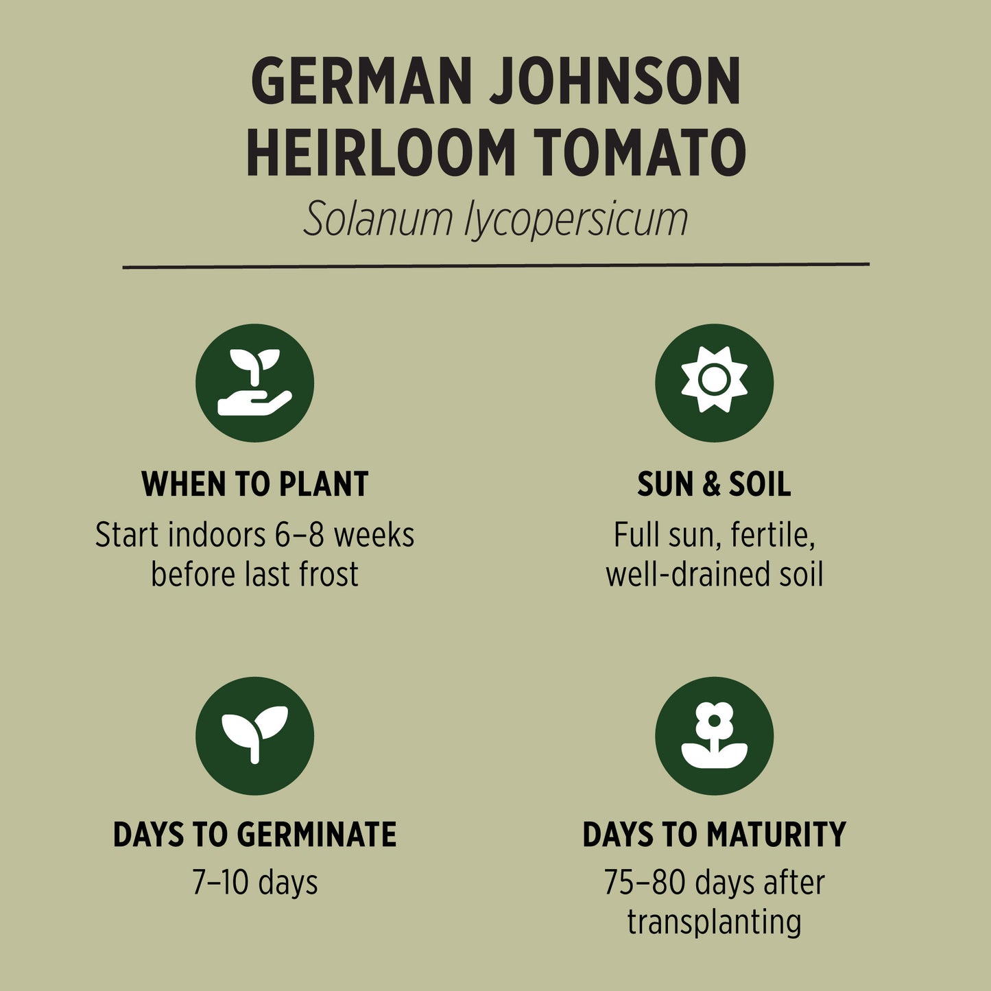 German Johnson Heirloom Tomato Seeds Growing Facts