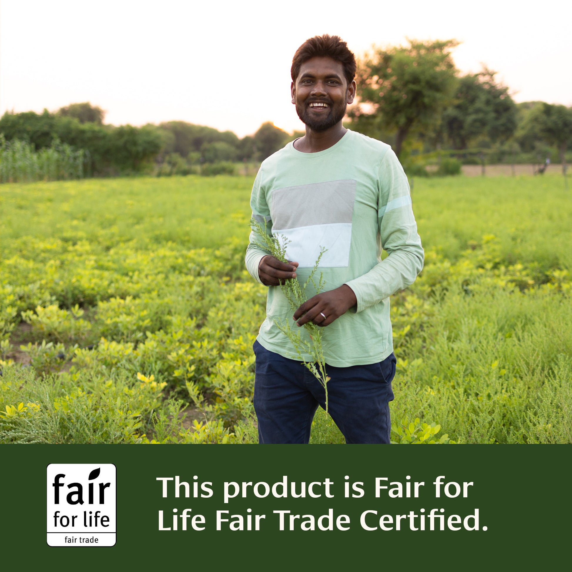 This product is Fair for Life Fair Trade Certified