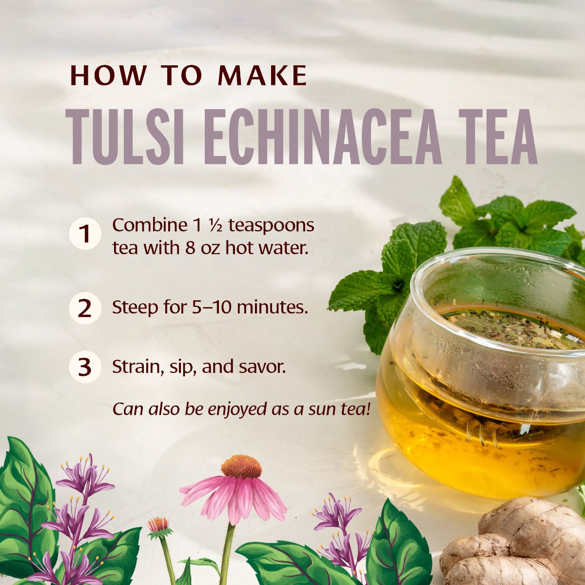Tulsi Echinacea Immune Support Tea How to Make