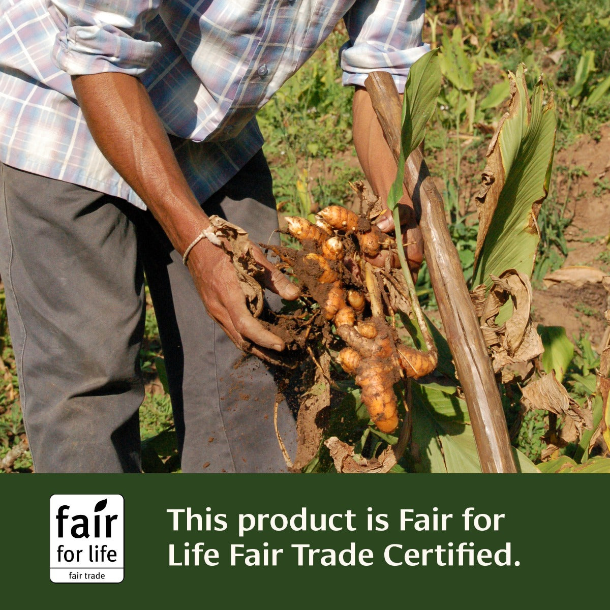 Turmeric Tablets is Fair for Life Fair Trade Certified