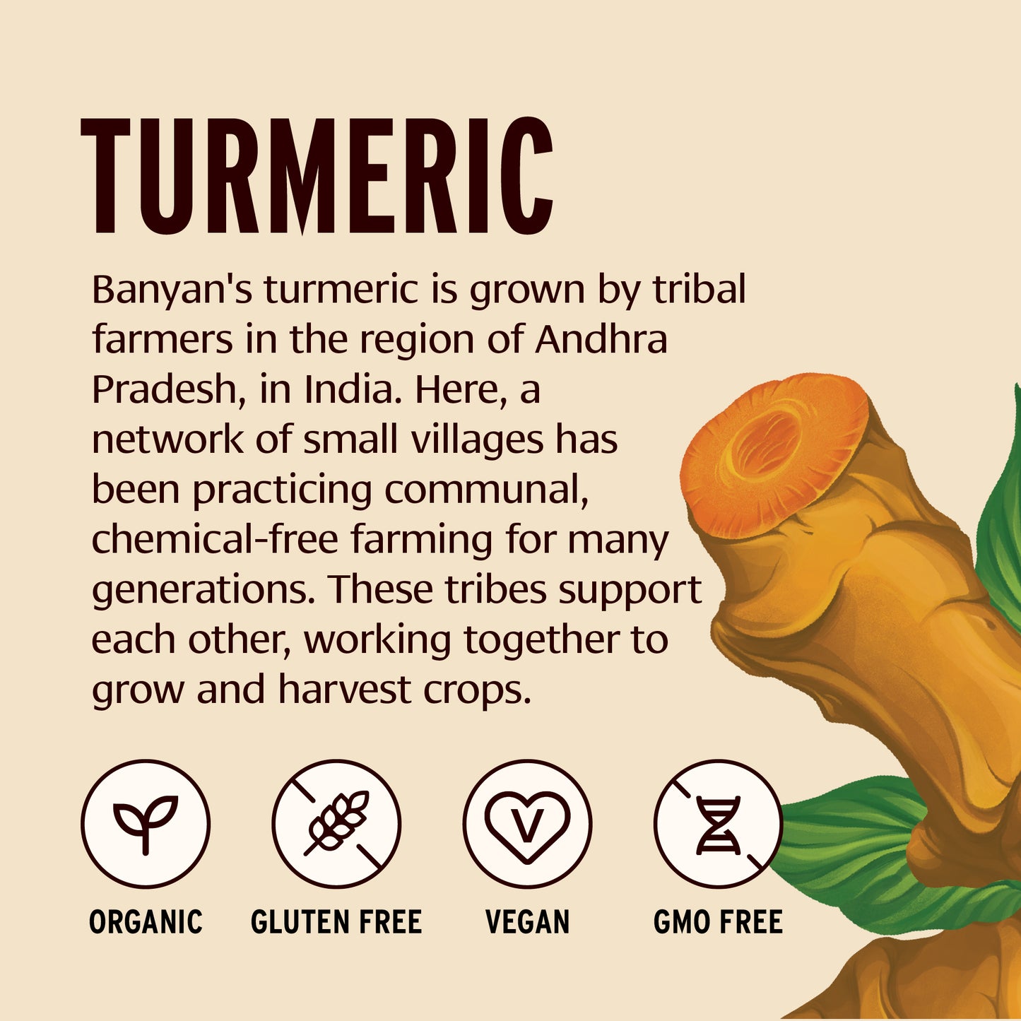 Turmeric powder