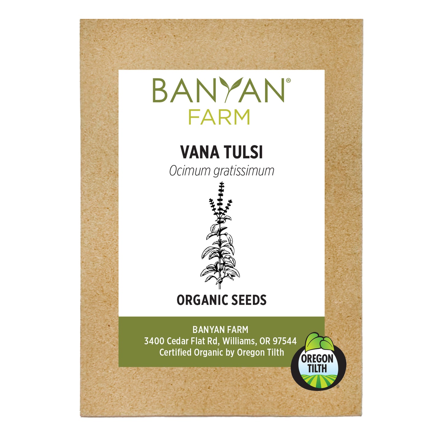 Vana Tulsi Organic Seeds