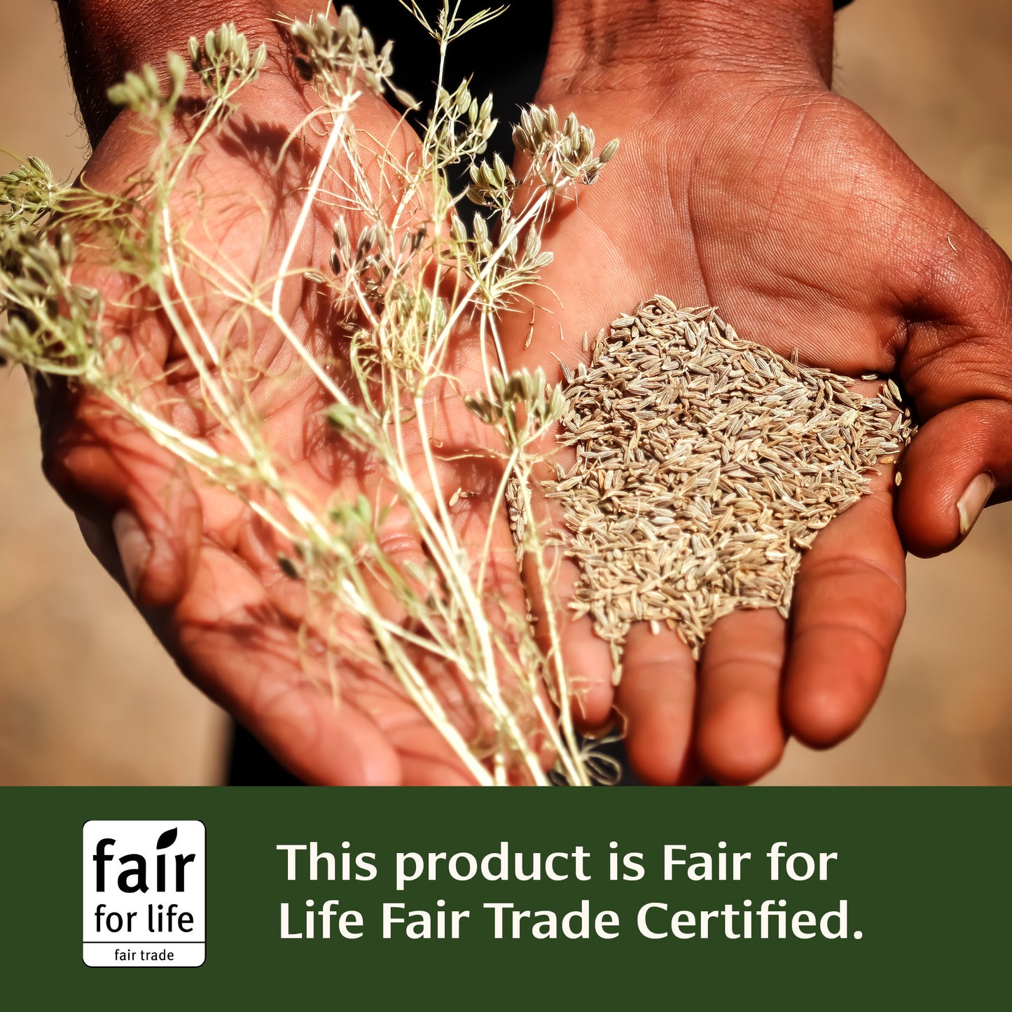 Vata Digest™ tablets Fair for Life Fair Trade Certified