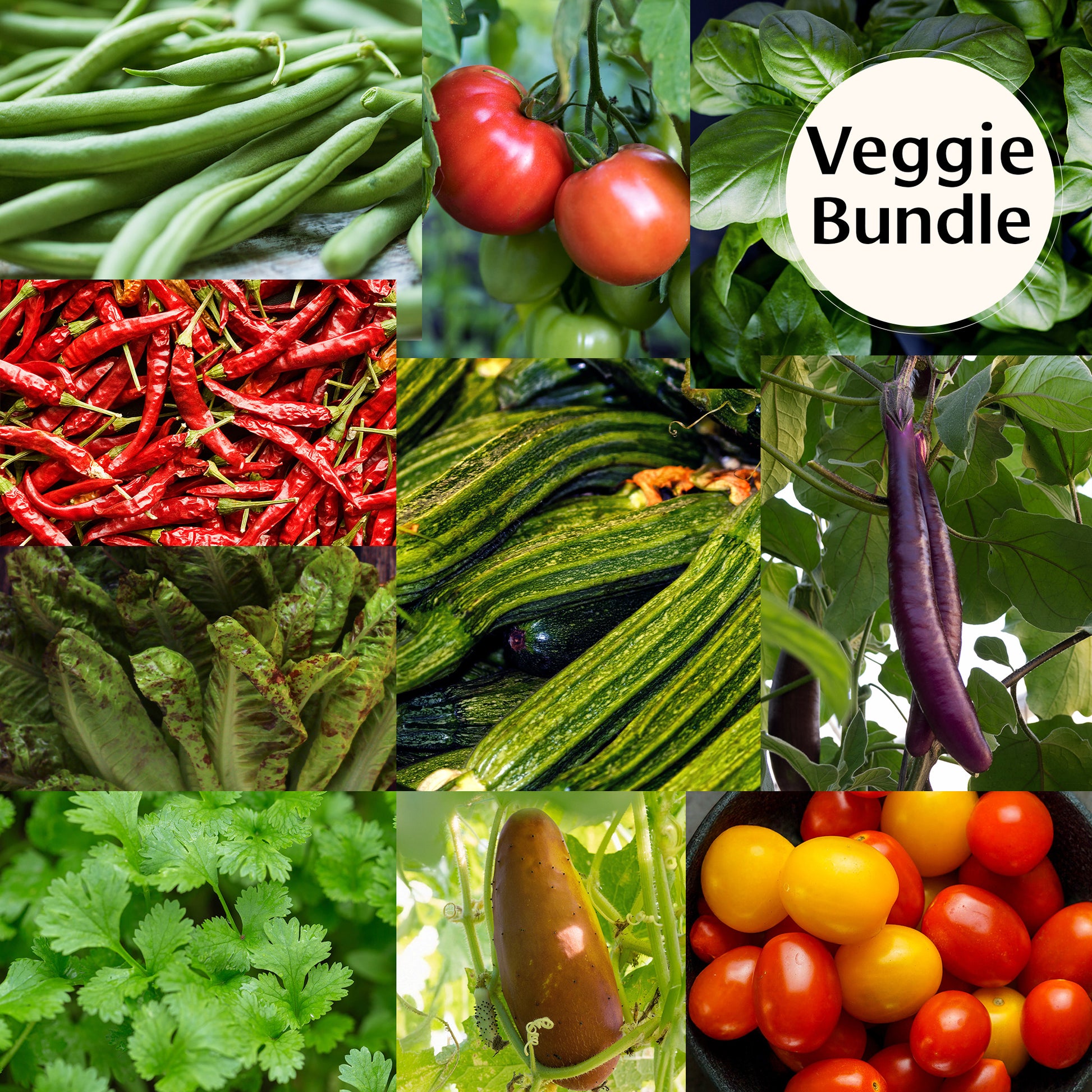 Organic Heirloom Vegetable Organic Seed Bundle