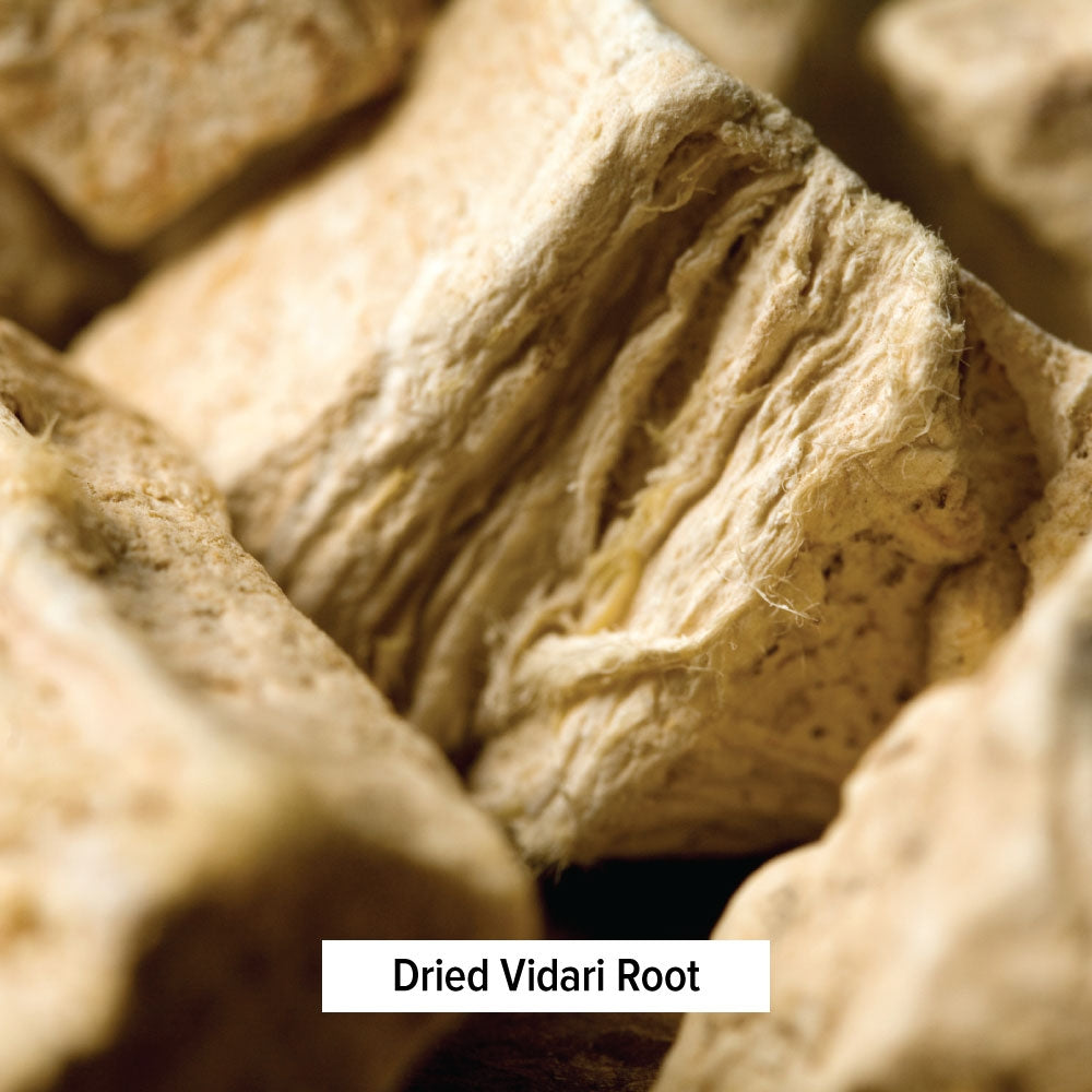 Dried Vidari Root